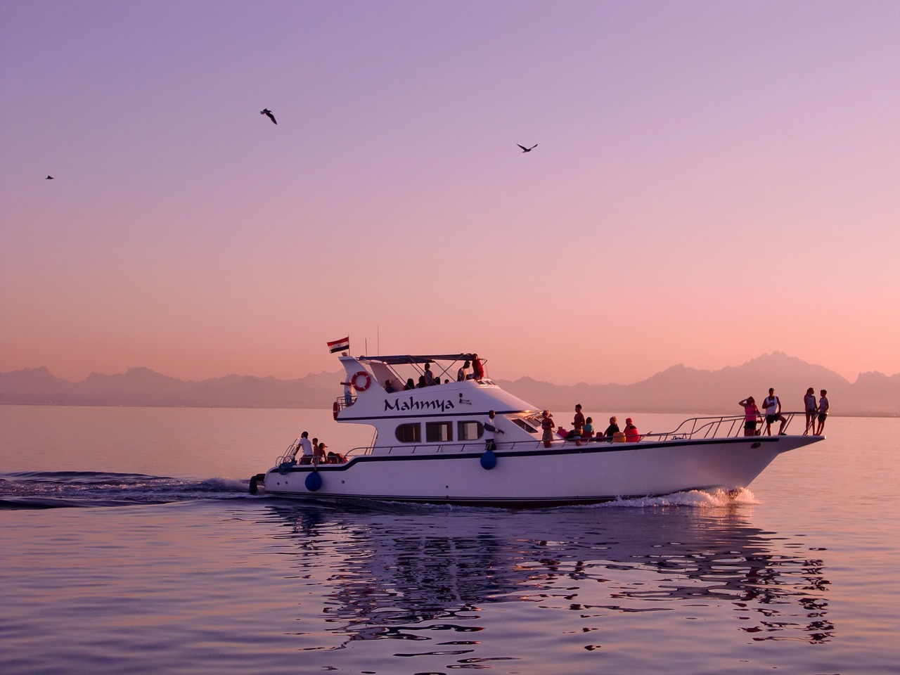 Jeon Jung Hyun: A Look at the Life and Career of the K-Pop Star