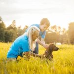 Top-Rated Dog Boarding Pensacola for Happy Pets