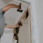 Plano’s Trusted Partner for Home Renovation Projects