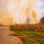 Restore Curb Appeal with a Quality Pressure Washing Service