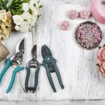 Making Memories with Gorgeous Flowers from Sydney’s Florists