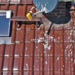 Durable Roofs for Springfield Homes: Work with the Right Contractor